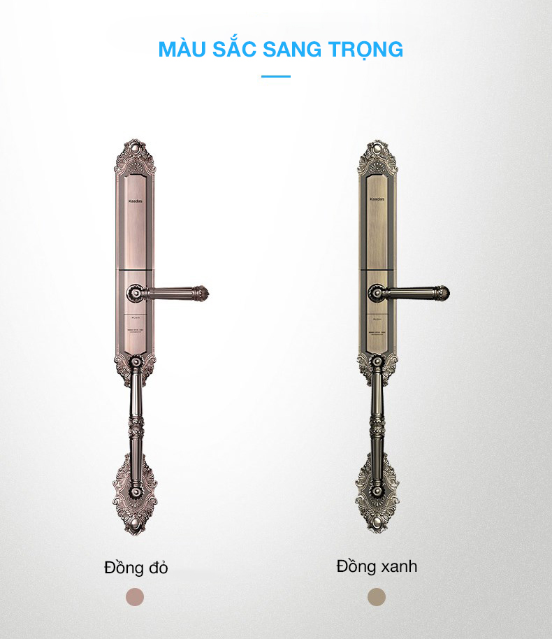19-6001 khóa vân tay kaadas 6001 -2